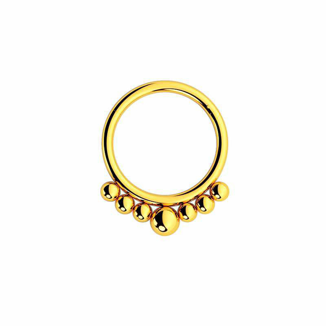 Nose Ring Hoop Septum Piercing Hinged Segment Clicker Surgical Steel Ear Cartilage Earrings Tragus Helix Daith Body Jewelry