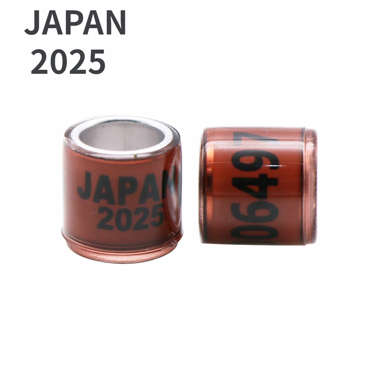 JAPAN 2025
