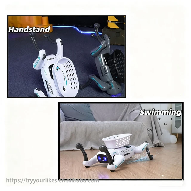 Image 5