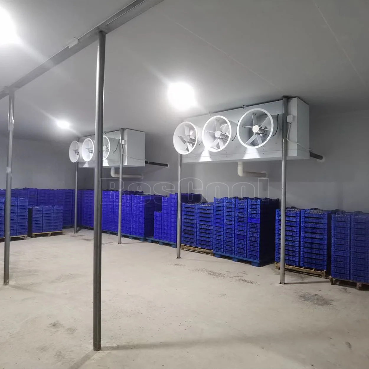 Cold Room Storage Cooling System Freezer Unit Walk in Cooler for Fruit and Florist Refrigerator Container