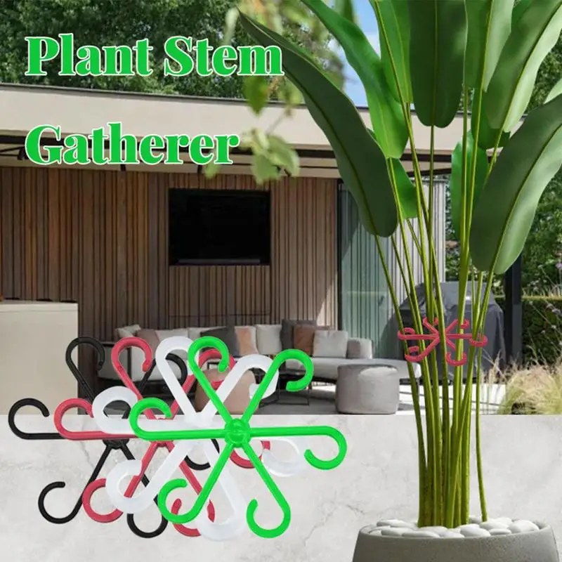 Plant Support Climbing Houseplant Stem Supports 4X Vine Fixed Clips for Climbing Plant Stems Support and Vines Grow Upright