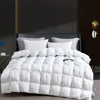 Goose Down Winter Comforter 1