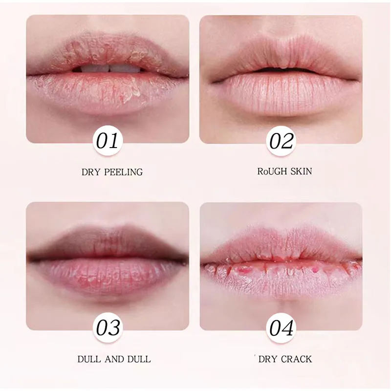 Naughty Rabbit Lipstick Lip Base Before Moisturizing Makeup Anti Cracking Korean Original Cosmetics Colorless Fragrance Lipstick 4