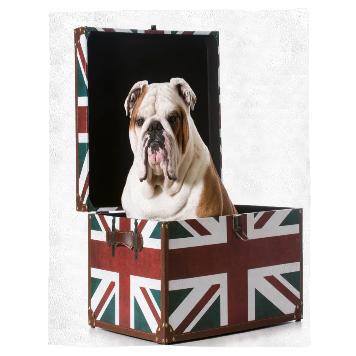 

Чехол для кровати с рисунком бульдога