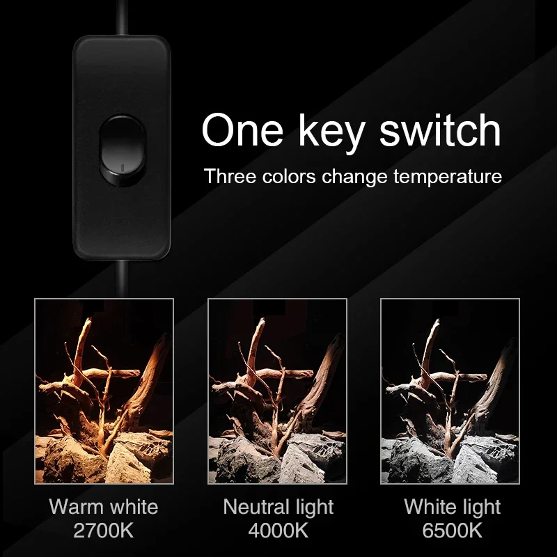 WEEKAQUA NP10 ü Ʈ  Ǹ  ƮƮ, 5 - 60  