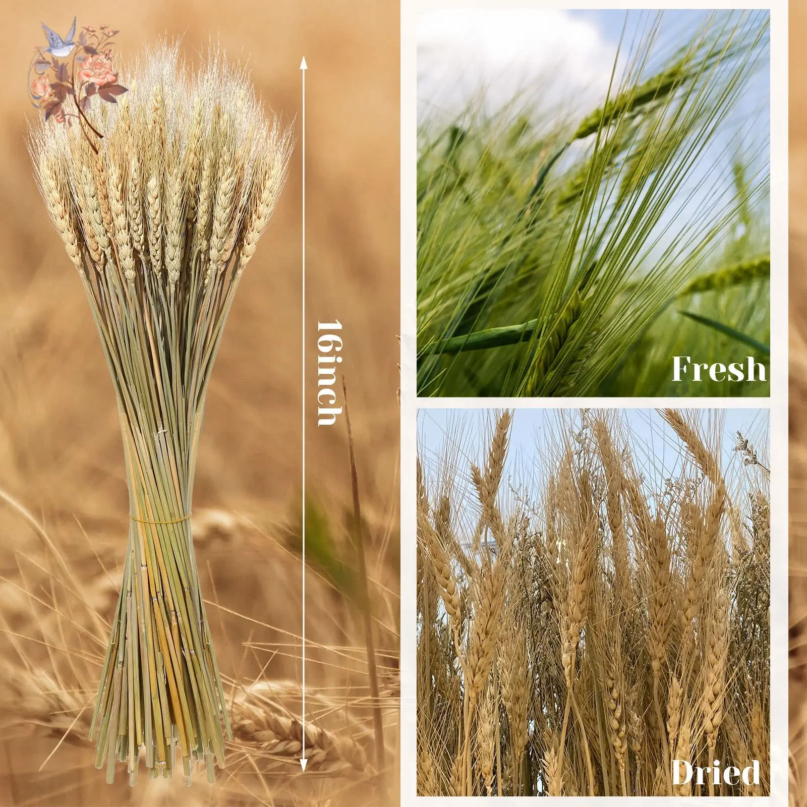 Spighe Di Grano Essiccate 100 Pezzi | 40 Cm Giallo Dorato | Per Bouquet, Decorazioni Matrimonio E Centrotavola | 100% Naturali