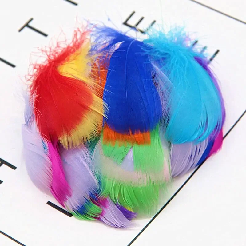 100pcs Goose Feathers for Crafts 8-12cm Swan Plumes Wedding Party Handicraft Accessories Decoration Dream Catcher Feathers 100pcs Goose Feathers for Crafts 8-12cm Swan Plumes Wedding Party Handicraft Accessories Decoration Dream Catcher Feathers