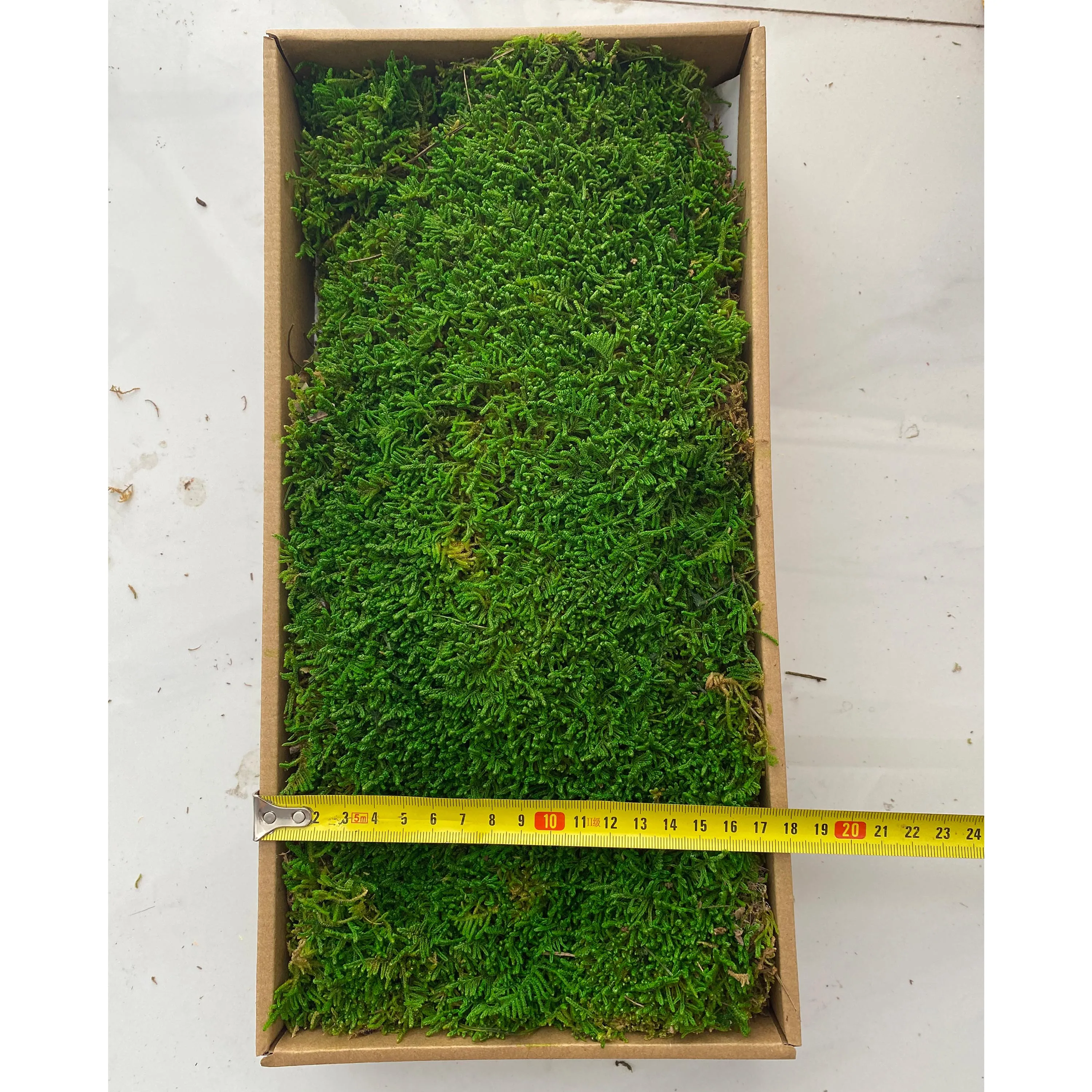 2Pcs Preserved Bulk Moss for Crafts/DIY Frame/ Wall 0.13 M² Sheet 36 x 18 CM