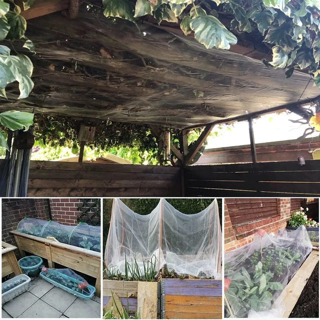 Vegetables Plant Insect Protection Net Garden Fruit Care Cover Network Greenhouse Protective Net Pest Control Anti-Bird Net 6