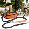 Hands Free Dog Leash with Zipper Pouch Reflective Bungee for Medium to Large Dogs Walking Jogging and Running 1