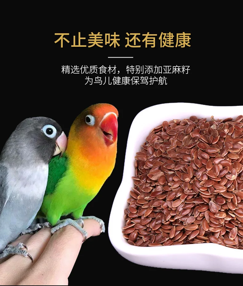 Smart Parrot Food Natural Food for Parrots Good fir Feather Premium Blend of Seeds