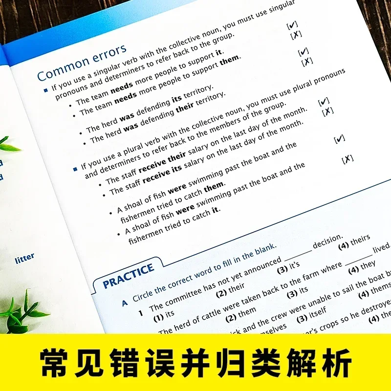 Singapore English Grammar Set 4