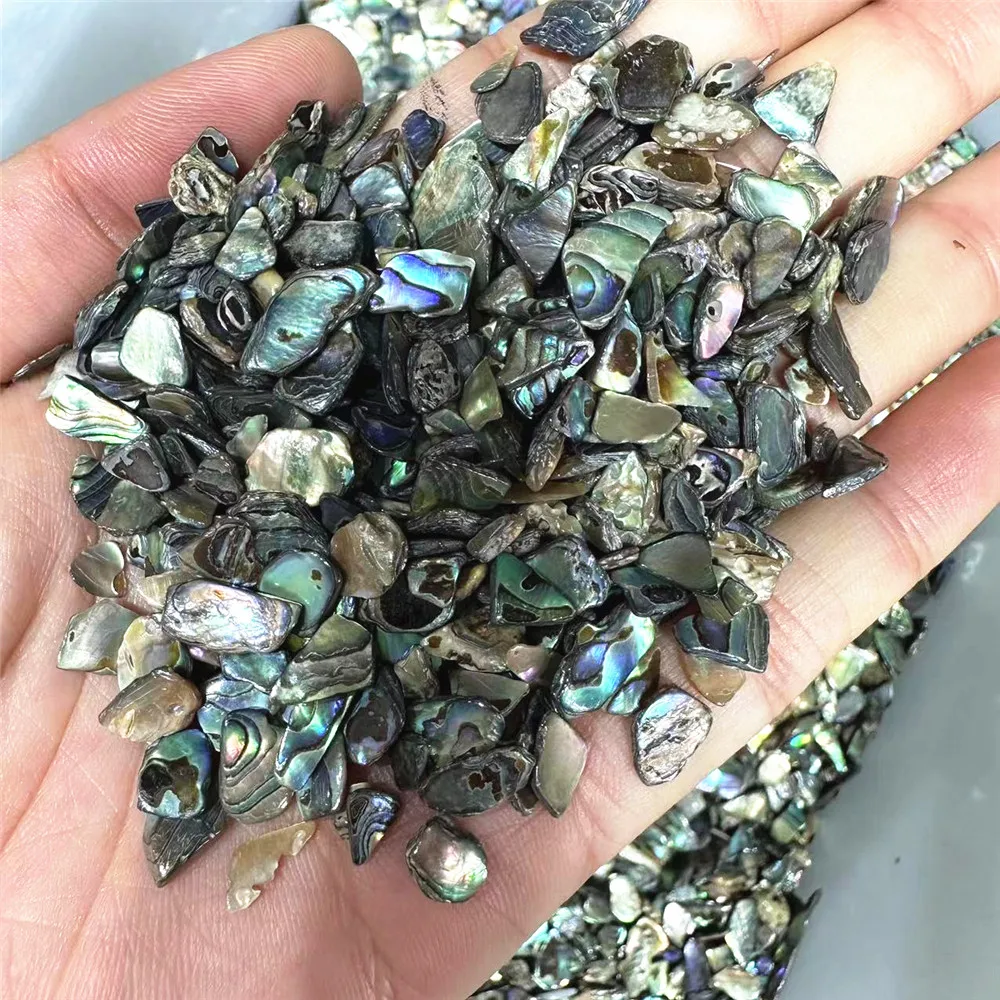 New Arrivals Polished New Zealand Paua Crystals Gravels Healing Stones Bulk Natural Abalone Shell Crystal Chips For Decor 5