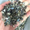 New Arrivals Polished New Zealand Paua Crystals Gravels Healing Stones Bulk Natural Abalone Shell Crystal Chips For Decor 5
