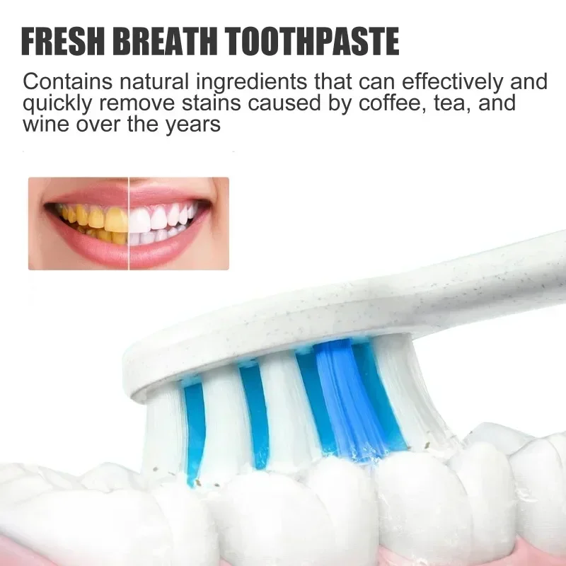 Probiotic Toothpaste Quick Repair Cavities Clean Whiten