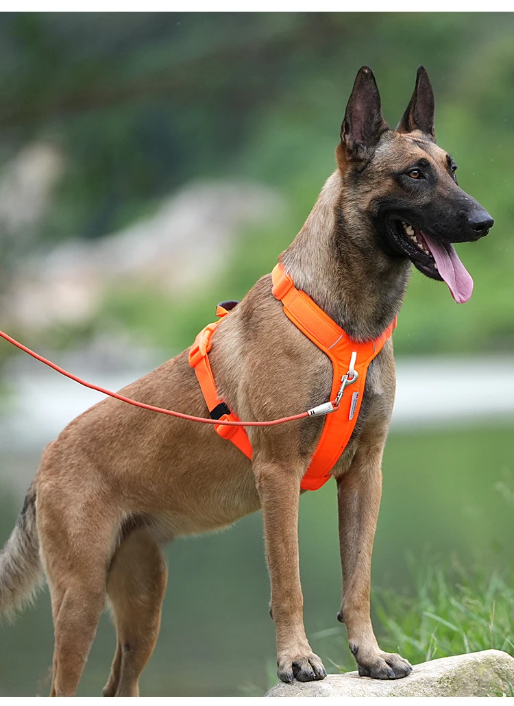 Dog Harness No Pull, Walking Pet Harness, Adjustable Reflective Breathable Oxford Soft Padded Easy Control Front Clip Vest Harness Outdoor Large Dog