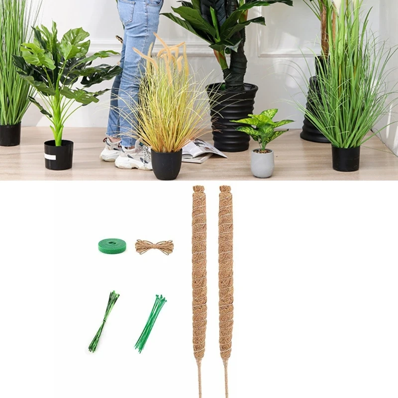

Monstera Poles Support Stand Moss Poles For Plant Stakes Sticks Indoor Creepers 090C