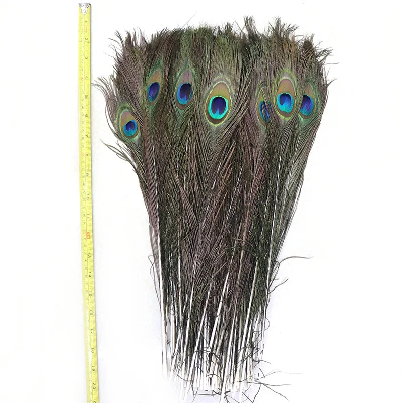 Wholesale 10Pcs/Lot Natural Peacock Feathers for DIY Craft Wedding Holiday  Decorationn Home Decoration and Floral Arrangement