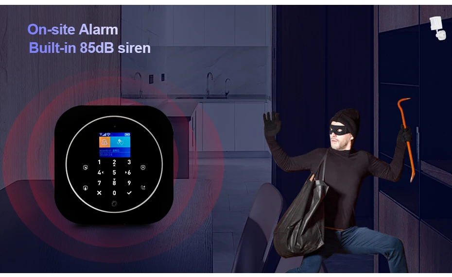 Signalizacijos sistemos apžvalga 5