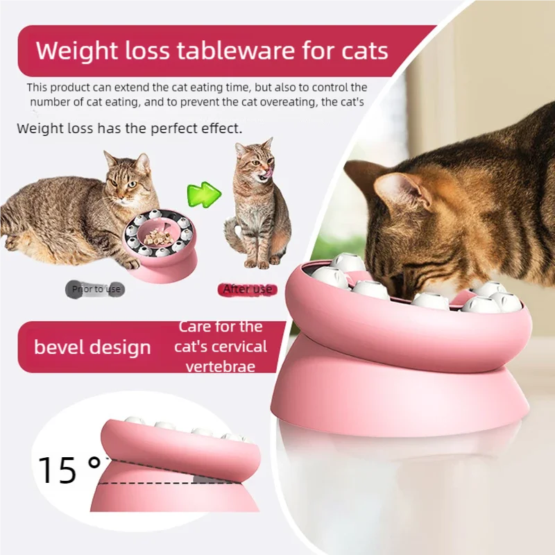 IQ Bowl - Image 3