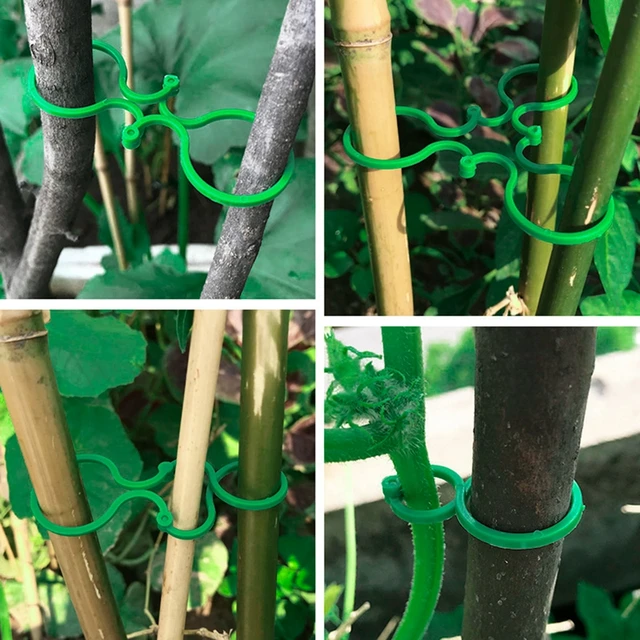 50 db Kerti Gyár Tartó Rácsos Klipek A Bonsai Szőlő Zöldség Új Paradicsom Termesztése Függőleges Állvány Szerszám - Image 5