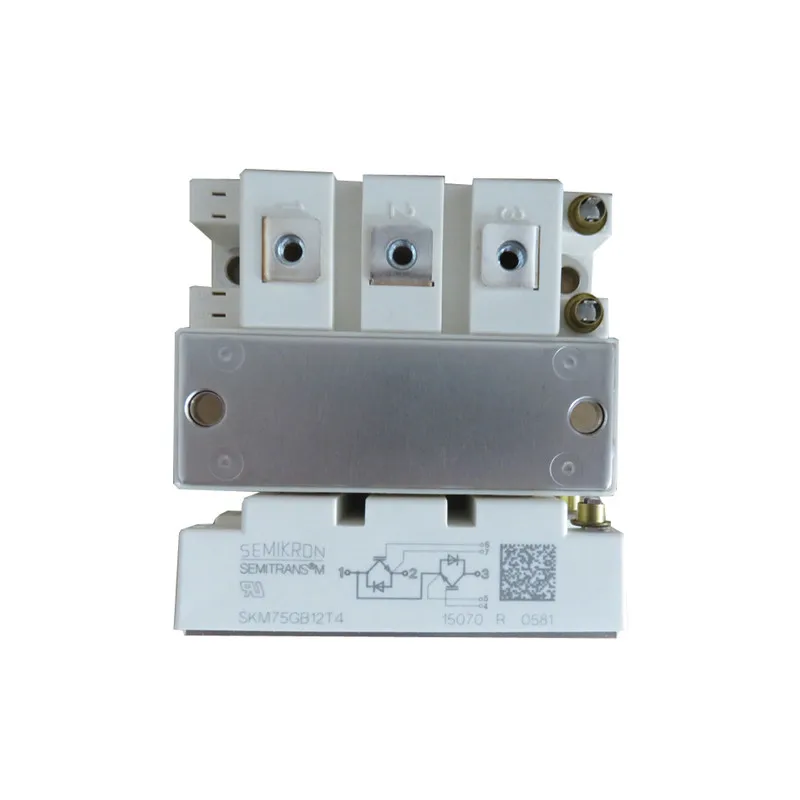 

SKM75GB12T4