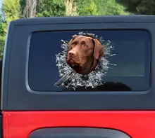 

Chocolate Labrador window sticker, chocolate lab car decal, labrador decal
