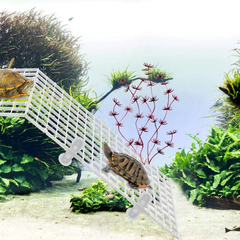 Divisori Per Acquario In Plastica - 4 Pezzi Con Ventose, 30x15 Cm - Foto 5