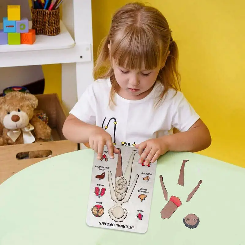 Рисунок 5 - Деревянная головоломка с человеческим телом для детей