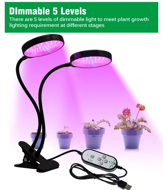 FECiDA Lampe pour Plantes Le Bureau, 200W Lampe Horticole LED Spectre  Complet avec UV-IR et Fonction de Daisy Chain, Lampe Croissance Plante  Interieur de Prime pour Semis Succulentes Végétale : : Jardin