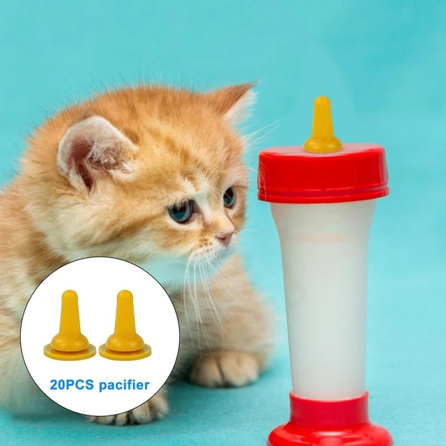 Nursing Cat Nipples visitchile.cl