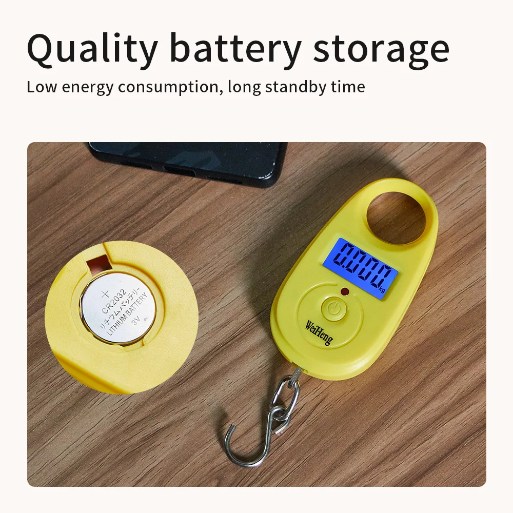 Mini balance numérique 25Kg 5g portable avec crochet pour pêche et bagages