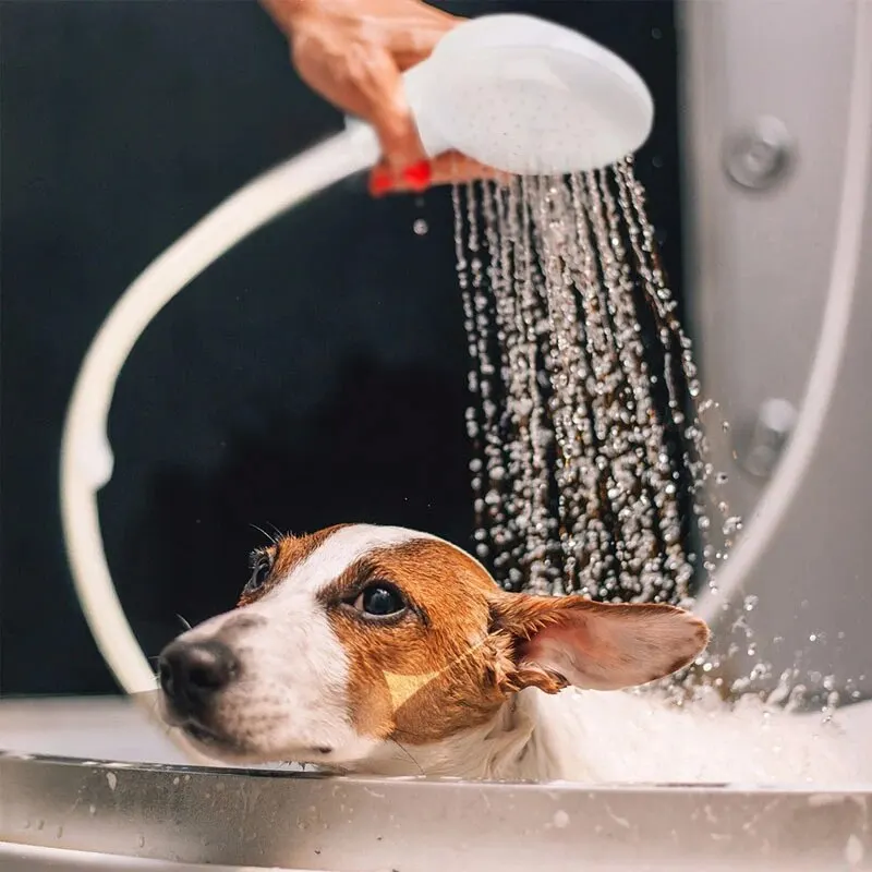 Pet Bathing Shower Dog Cat Multifunctional Shower Easy Bathing Garden Sprayer Pet Cleaning Grooming Tools Supplies bath showerhead
