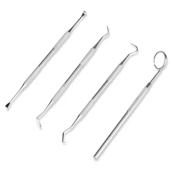 Premium Dental Cleaning Kit with Stainless Steel Tools and Endoscopic Cleaner for Teeth Whitening and Oral Care (4pcs)