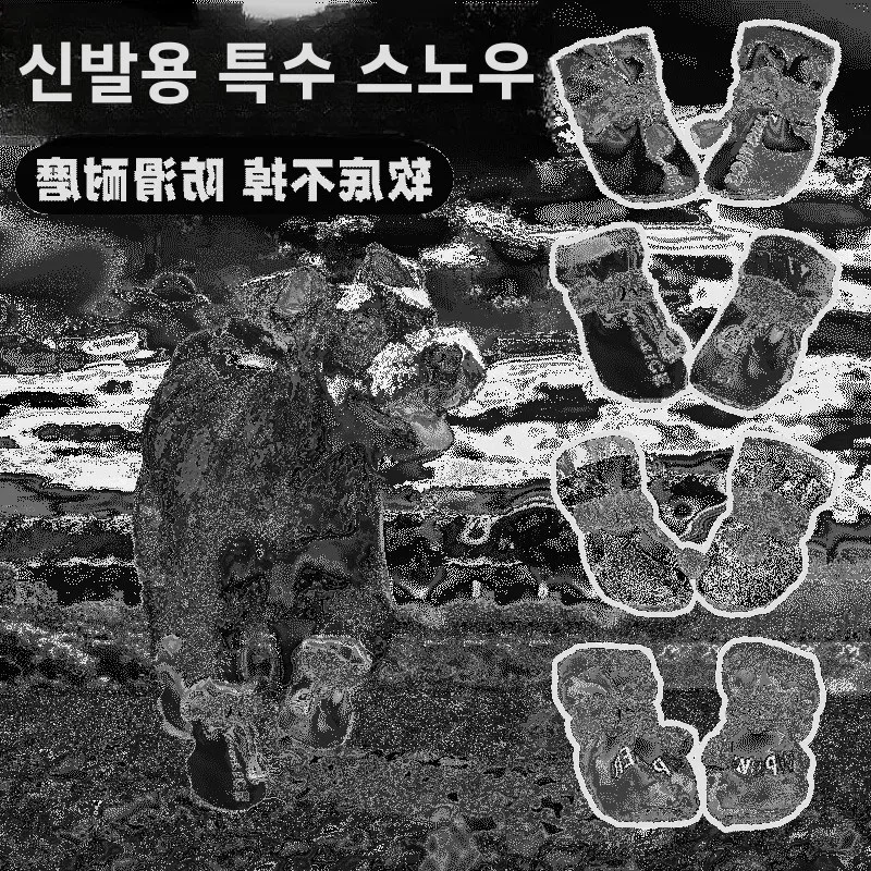 방진 야외용 신발 방진 겨울용 방진 스키 부츠 방진 겨울용 스키 부츠 겨울용 스키 부츠 야외용 신발 야외용 스키 부츠 신발