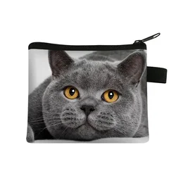 Cartoon Cat Print Coin Purse and Card Holder (08)