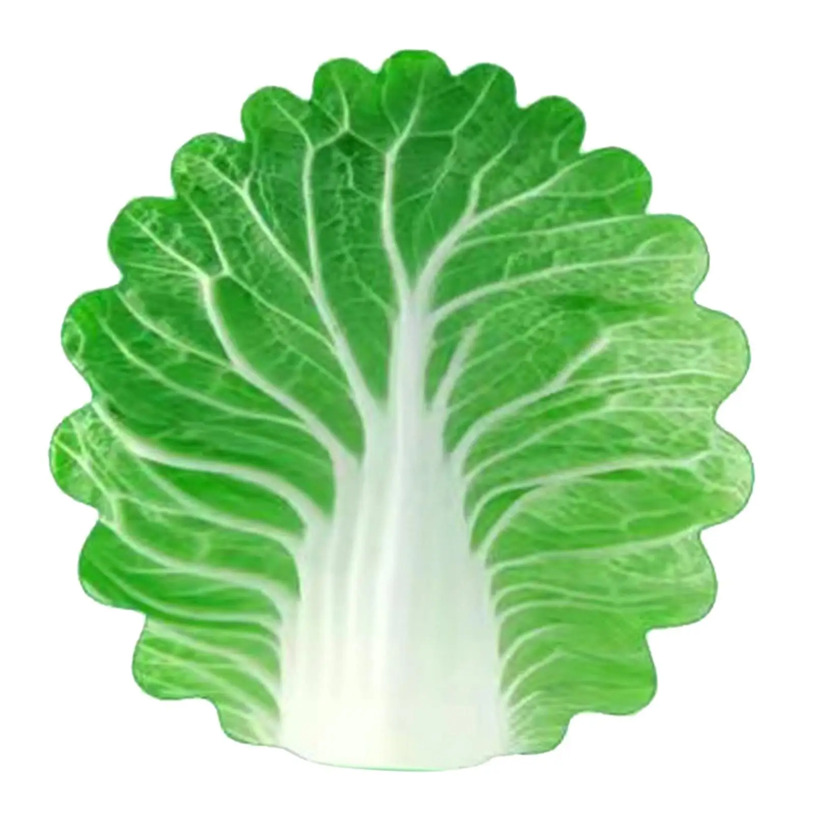  ����� ��� ������ ��� ���, ��Ź ������ �ε巯�� �ö���, ���� ����Ʈ,  �����, ���� �� ���ƿ�