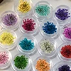 5Pcs/box 3D Dried Flowers Nail Art Decorations Dry Floral Bloom Stickers DIY Manicure Charms Designs For Nails Accessories 1