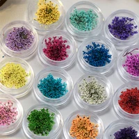5Pcs/box 3D Dried Flowers Nail Art Decorations Dry Floral Bloom Stickers DIY Manicure Charms Designs For Nails Accessories 1