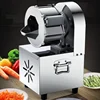 Electric Multi-function Vegetable Cutting Machine Slicer Commercial Stainless Steel Food Slice Potatoes Carrots Beans 220v 110v 1