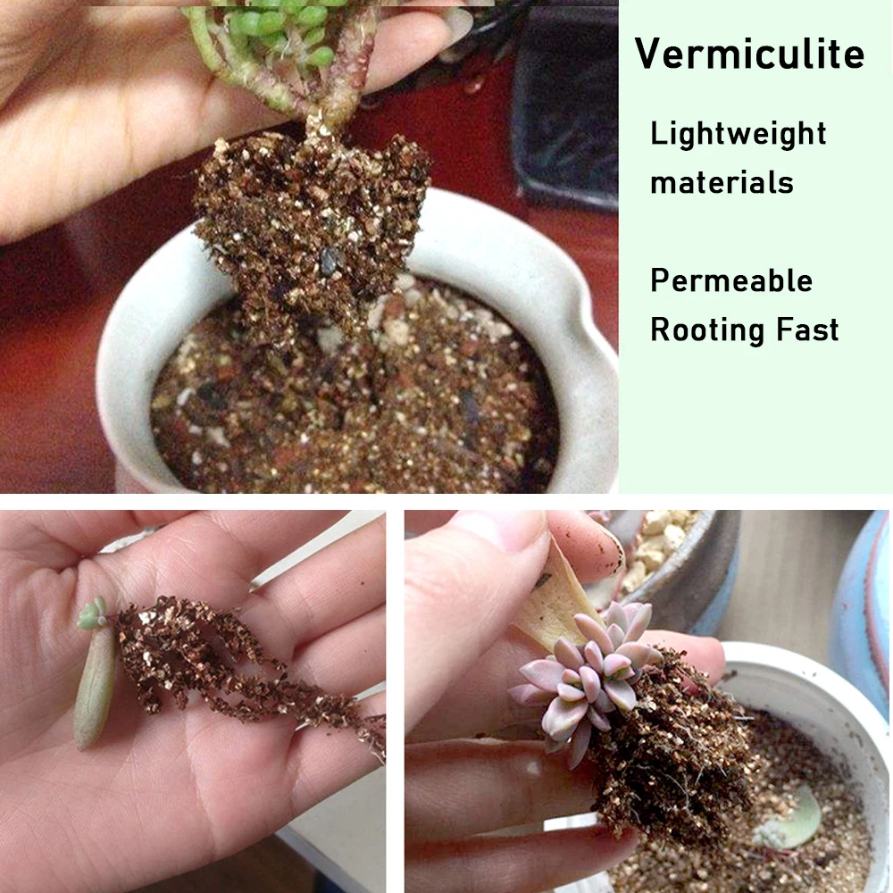 50g Vermiculite Nutrient Soil Substrate For Succulent Planting