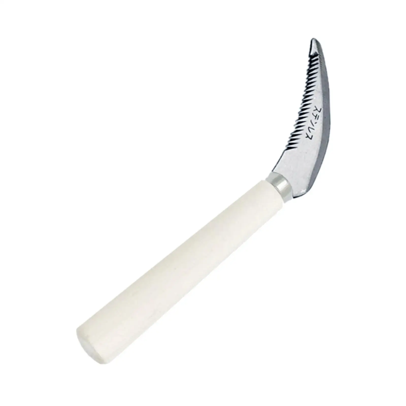 Slide image 58acc16890a04c98b0e61c7827699fba