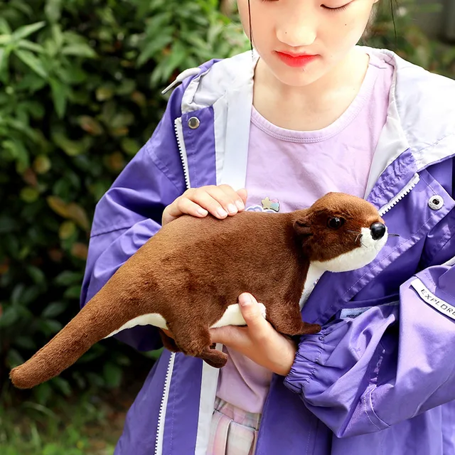 Animal de peluche de nutria de mar peluche de nutria de mar suave con  pelota para niñas y niños para cumpleaños ANGGREK Otros