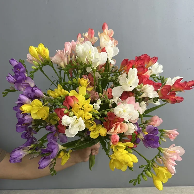 Description Picture 3 of item4pcs/lot Simulation Freesia Branches Silk Fake Flowers Festival Party Decoration Pink Fragrant Snow Orchid Artificial Flower