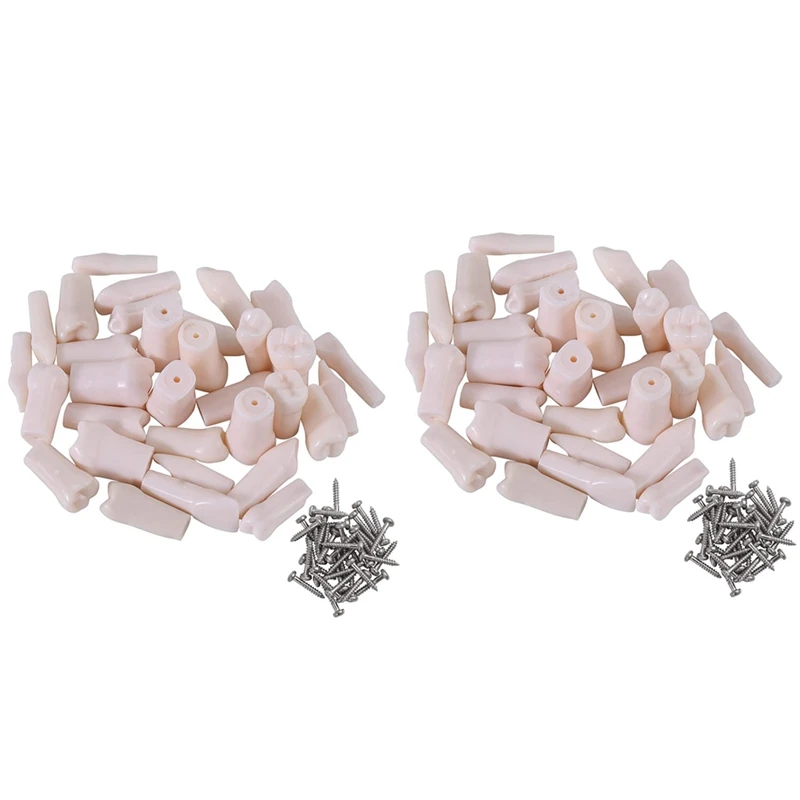 

Модель зубов 64 шт., модель зубов стандартной модели для практики и обучения