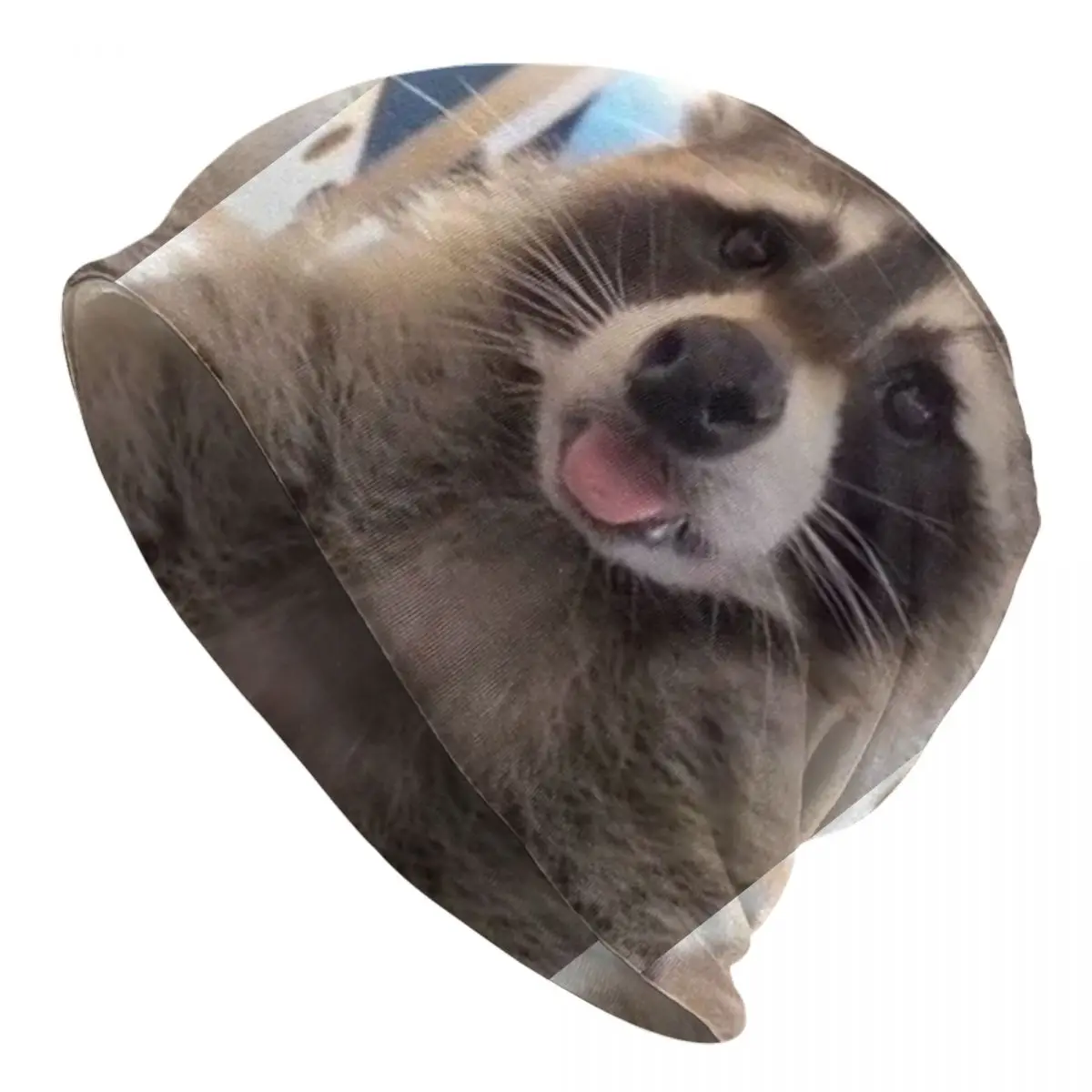 Racoon Cryptid Animal Pattern Bonnet Hat Hip Hop Outdoor Skullies Berretti Cappelli Unisex Warm Dual-Use Cap