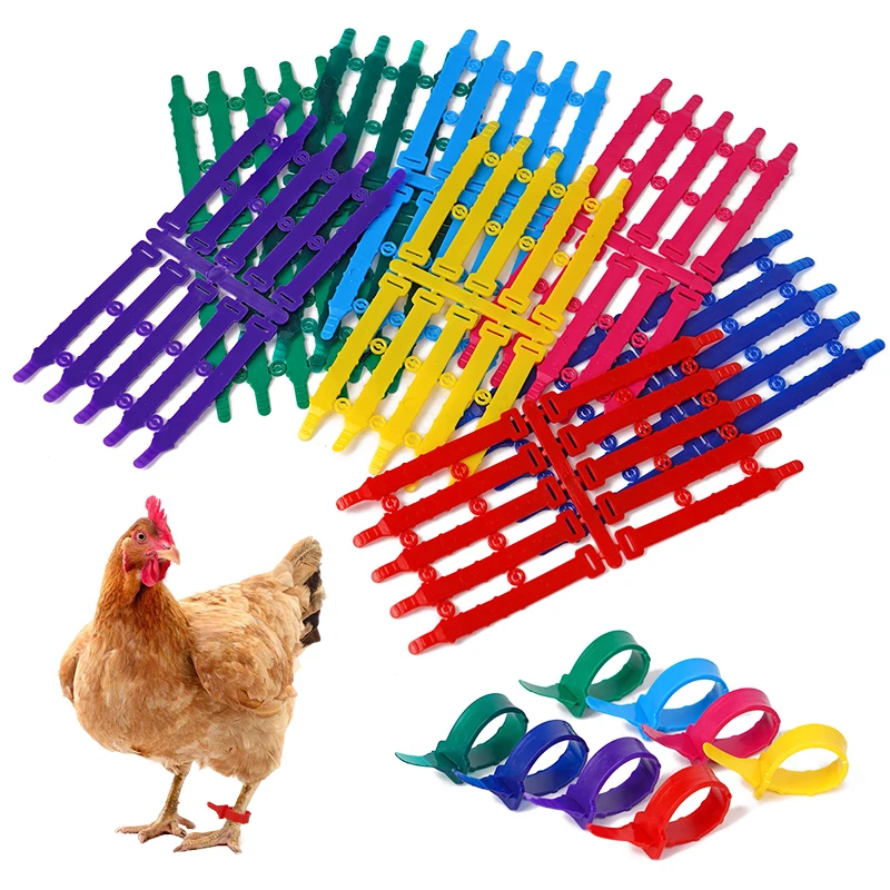 30pcs/50pcs Adjustable Chicken Foot Ring Chicken Coop Poultry Identification Rings Feeding Supplies 8 Colors Ring Length 78mm bird foot rings birds foot rings