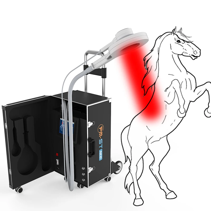Veterinary Therapy PEMF PMST Physio Machine For Horse