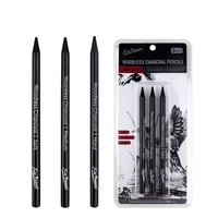 Artists Woodless Graphite Charcoal Pencil Set,Including Soft, Medium and Hard,HB/2B/4B/6B/8B/EE for Drawing,Shading Sketching 2