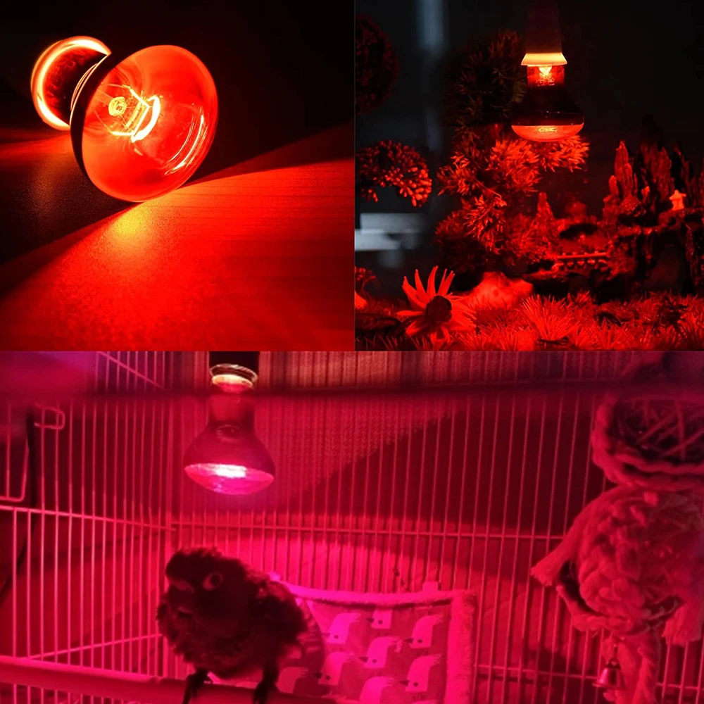 UVA Red Heating Lamp 220V Infrared Glass Bulb Amphibious Accessories for Reptiles Snake Lizards 25W 50W 100W Heating Bulb 5